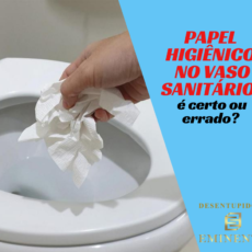 Papel Higiênico no Vaso Sanitário: É Certo ou Errado?