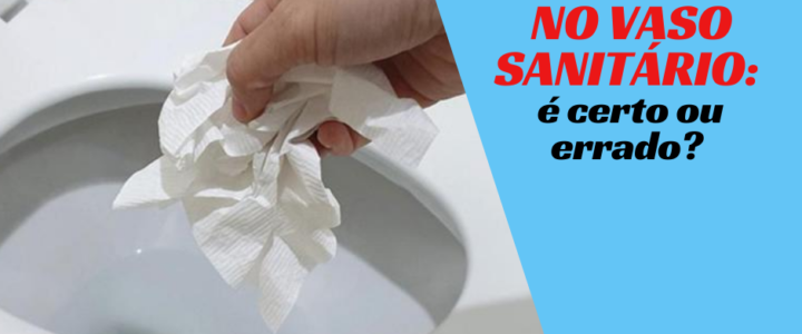Papel Higiênico no Vaso Sanitário: É Certo ou Errado?