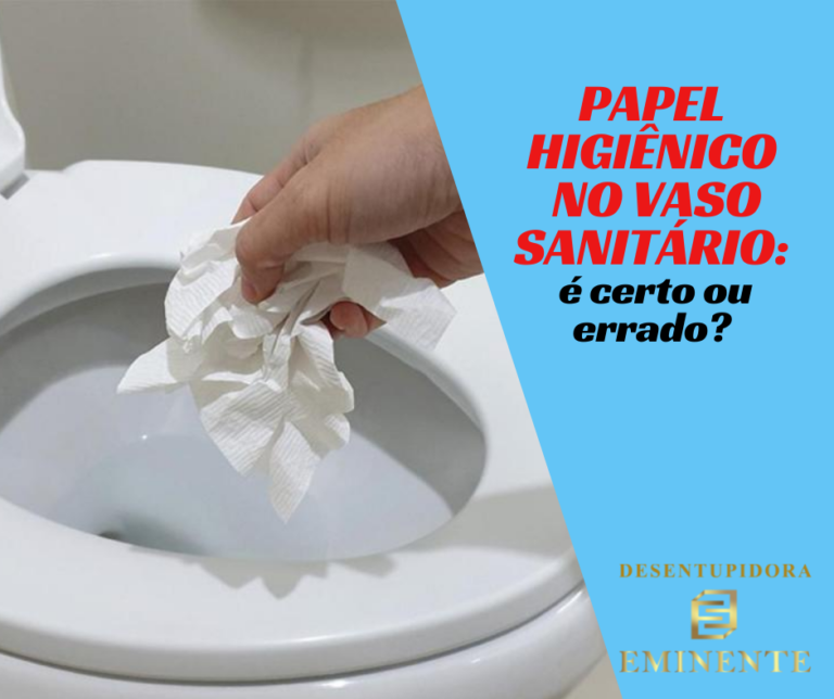 O que usar para Desentupir Vaso Sanitário?