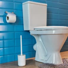 Preço Desentupir de Vaso Sanitário em Guarulhos